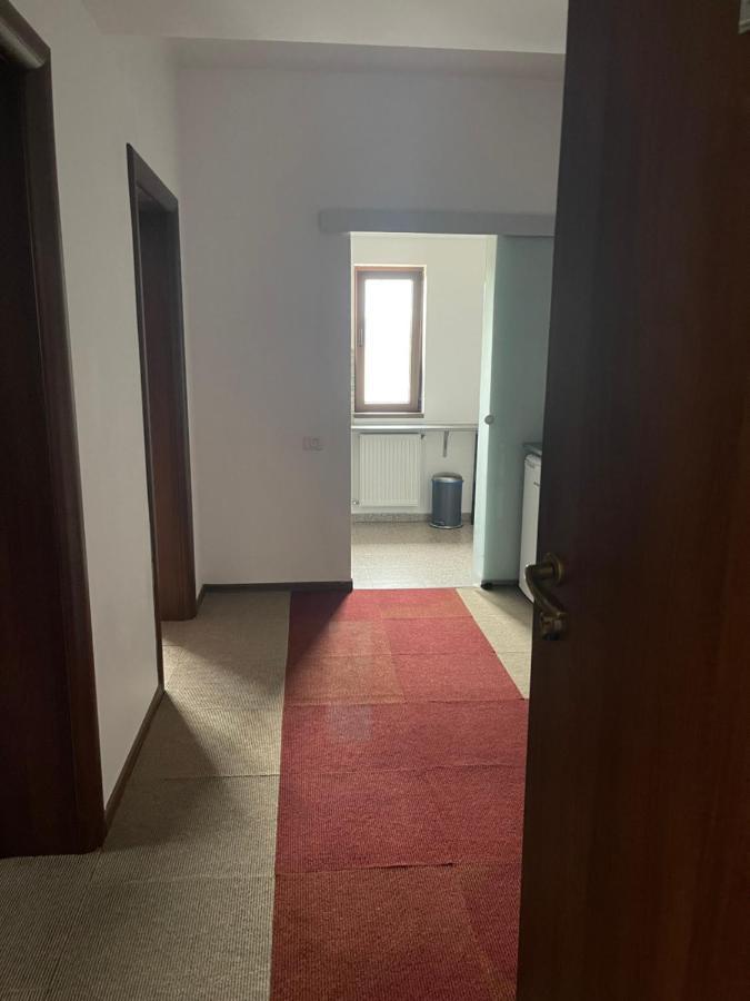 Vila Cu Trandafiri Cozy Apartments 2 Camere Bragadiru Εξωτερικό φωτογραφία