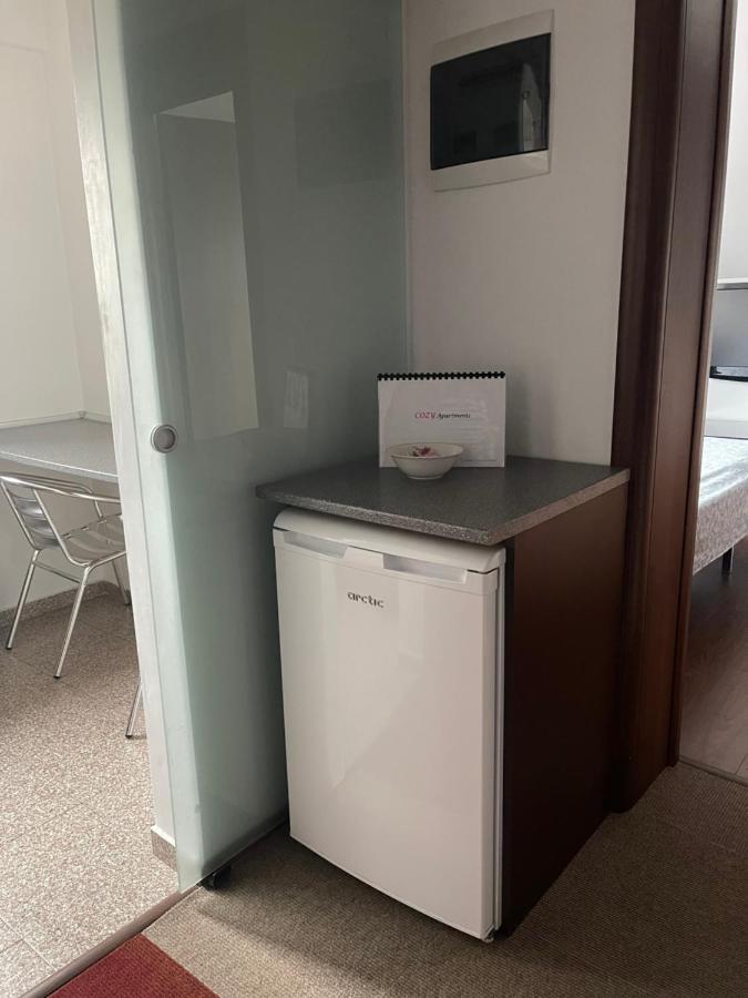 Vila Cu Trandafiri Cozy Apartments 2 Camere Bragadiru Εξωτερικό φωτογραφία